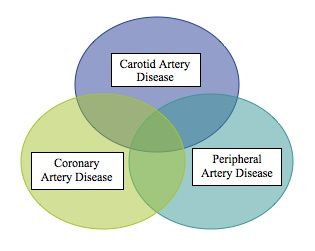 pad Carotid Coronary and Peripheral Artery Disease